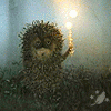 Igel