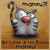Bandikyt