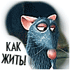 koluse