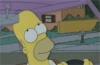 simpson