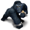 AlexMir
