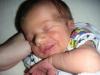 post-2153-1243580674_thumb.jpg