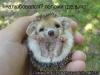 post-6212-1256650846_thumb.jpg