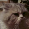 evГЕНИЙ